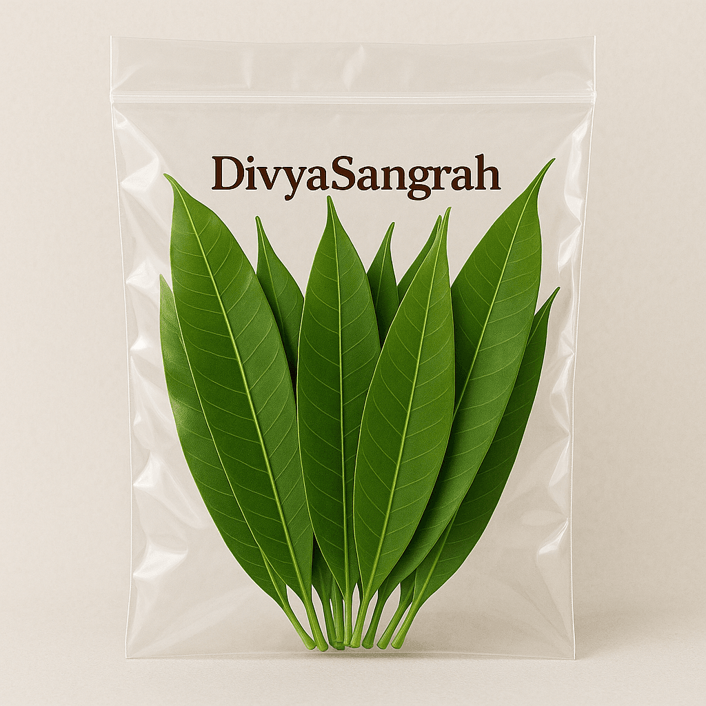 Aam Ke Patte - Image 1